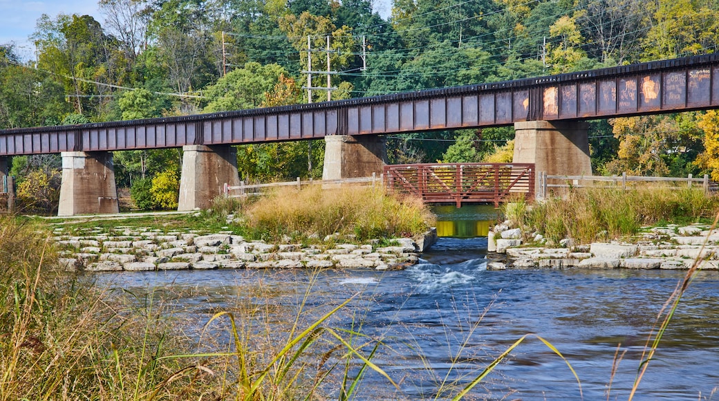 Tranquil River and Bridges in Lush Landscape, Michigan