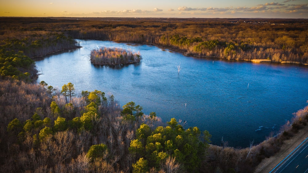 A river surrounded by dense vegetation and a distant road.