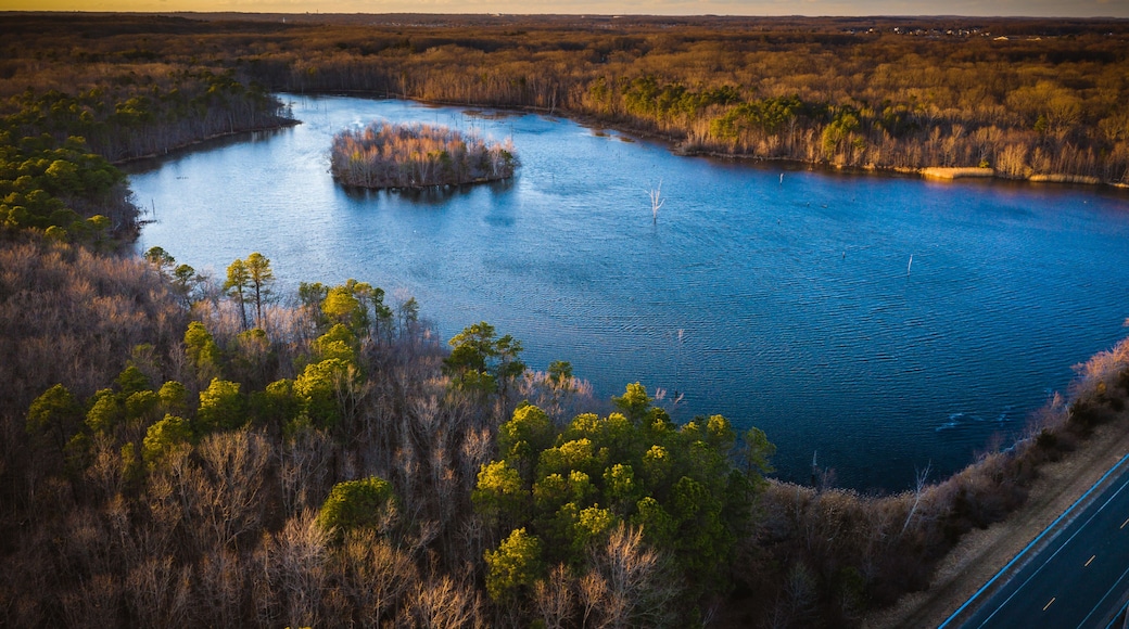 Aerial of Manasquan Reservoir