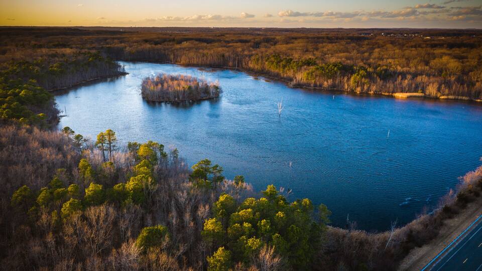 A river surrounded by dense vegetation and a distant road.