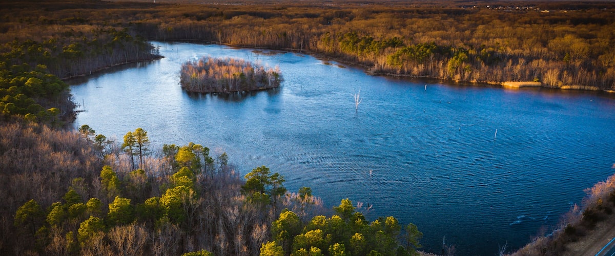 A river surrounded by dense vegetation and a distant road.