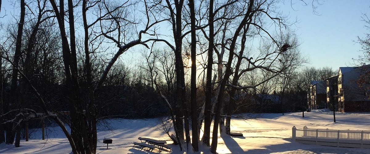 Love the view of the ponds in winter.