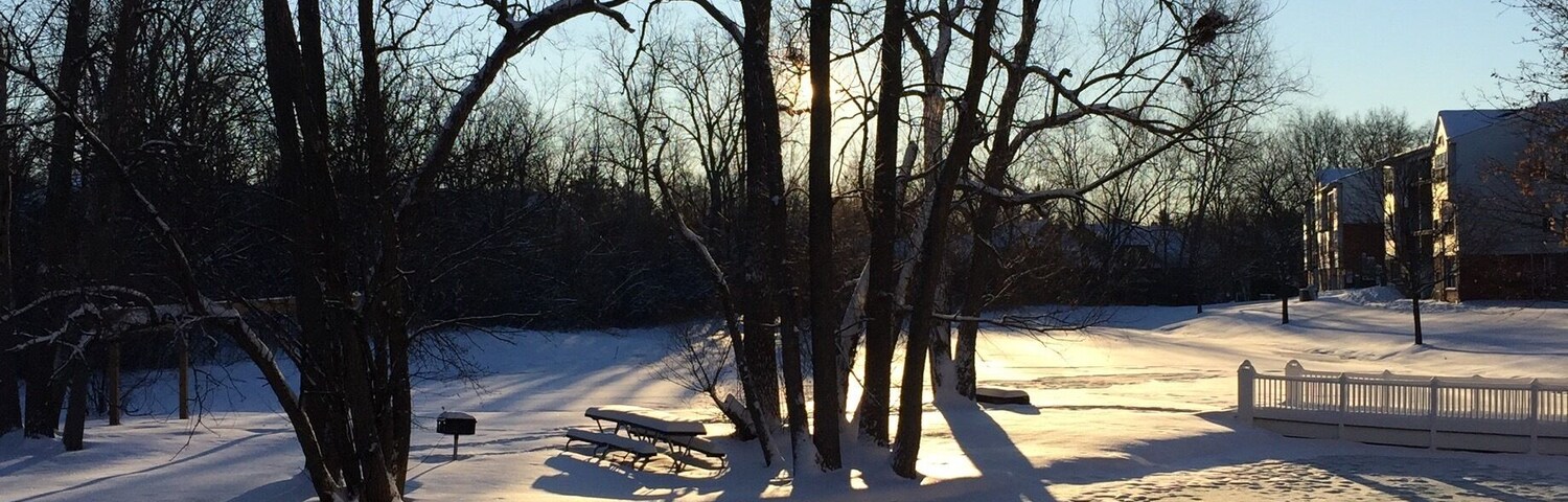 Love the view of the ponds in winter.