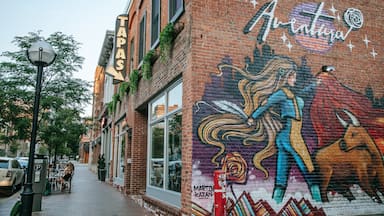 Ann Arbor which includes outdoor art