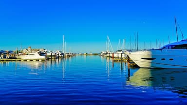 View of Monroe Harbor on Lake Michigan in Chicago on a sunny day.