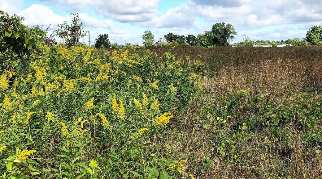 Exploring history in Ohio
#adventure