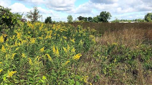 Exploring history in Ohio
#adventure