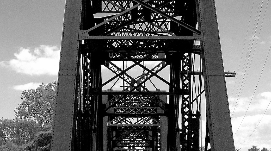 Makes you wonder where the tracks lead