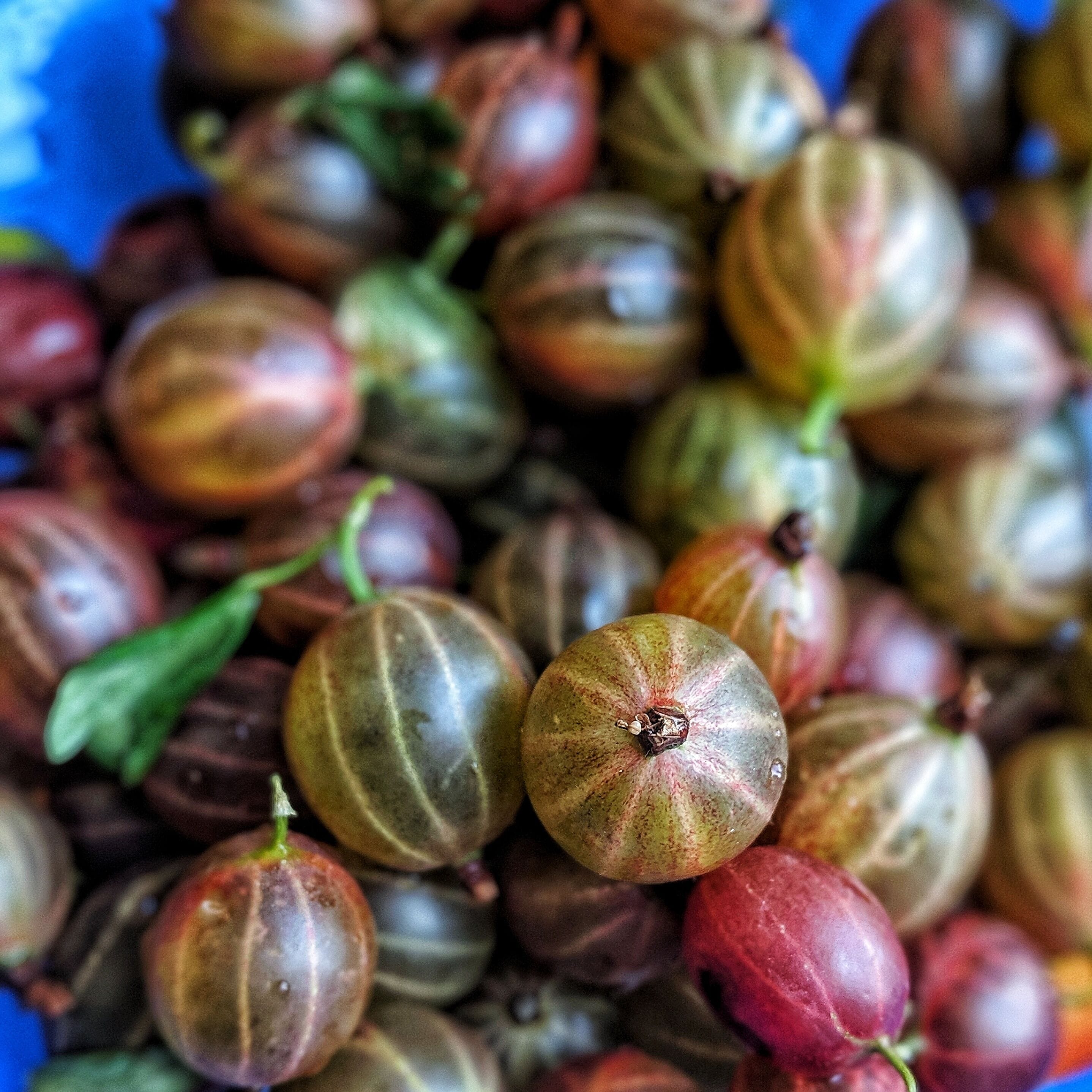 Definitely try the fresh gooseberries, cherries, raspberries, mulberries, and strawberries sold by babushkas on street corners in Pyatigorsk!
#russia #travel #traveltorussia #roamtheplanet #travellifestyle #explore #explorerussia #vacation #vacationvibes #summervacation #summer #summertrip #tourist #tourism #trynewthings #exploretheworld #seetheworld #travelblogger #blogger #travelphotography #yum #beautiful #beauty #foodforward #tripofalifetime #caucasion #gotravel #doyoutravel #lovetotravel #wonderfulplaces