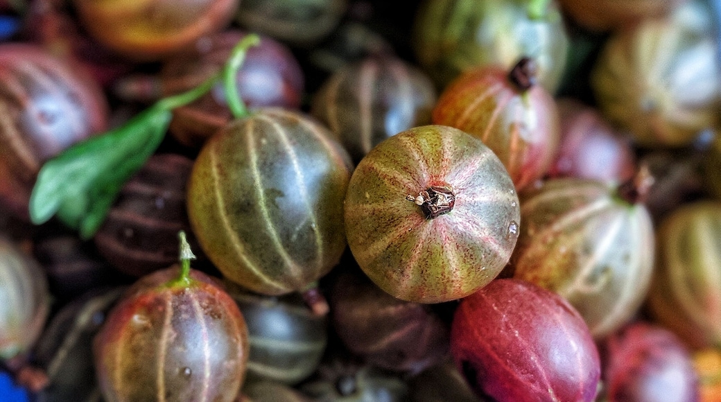 Definitely try the fresh gooseberries, cherries, raspberries, mulberries, and strawberries sold by babushkas on street corners in Pyatigorsk!
#russia #travel #traveltorussia #roamtheplanet #travellifestyle #explore #explorerussia #vacation #vacationvibes #summervacation #summer #summertrip #tourist #tourism #trynewthings #exploretheworld #seetheworld #travelblogger #blogger #travelphotography #yum #beautiful #beauty #foodforward #tripofalifetime #caucasion #gotravel #doyoutravel #lovetotravel #wonderfulplaces
