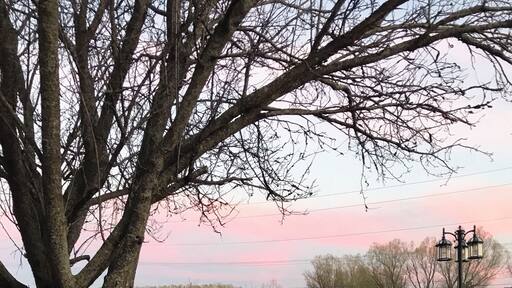 A place I often look around and appreciate more each time I do. Home.