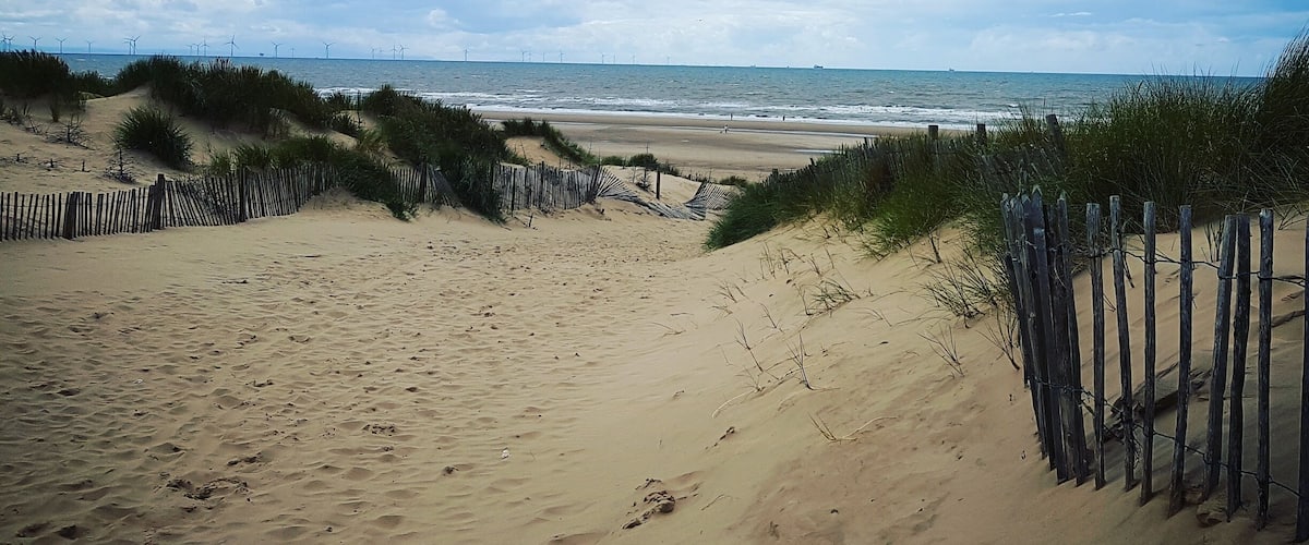 Beautiful sand dunes