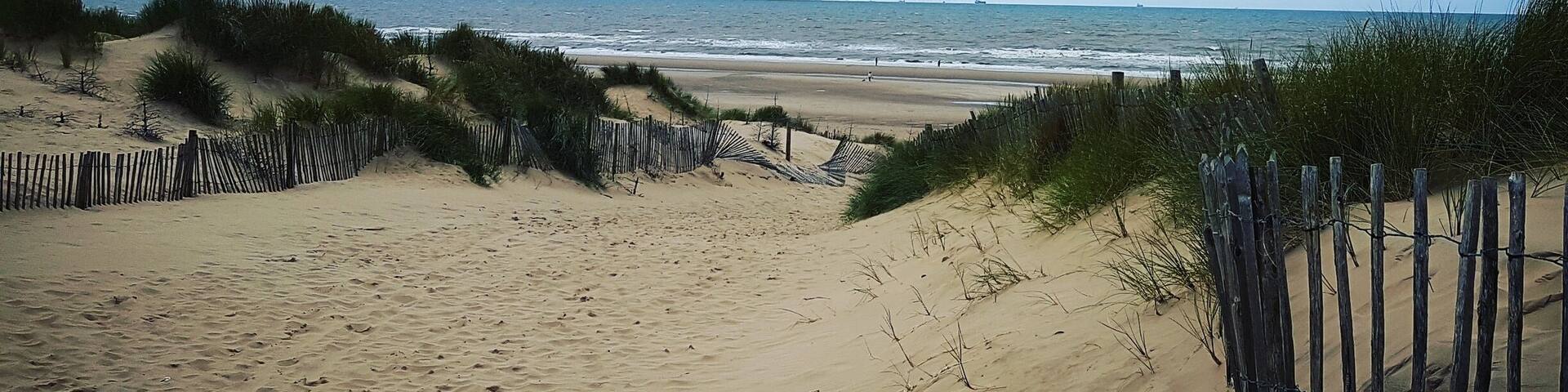 Beautiful sand dunes