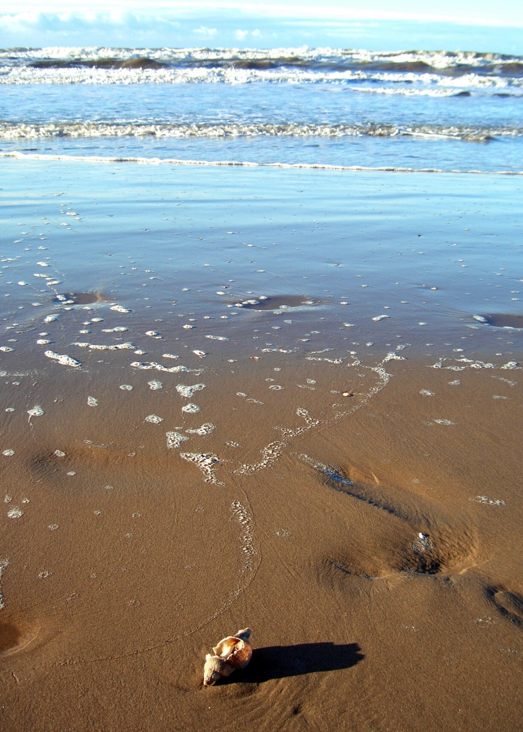 I enjoy exploring close to home.