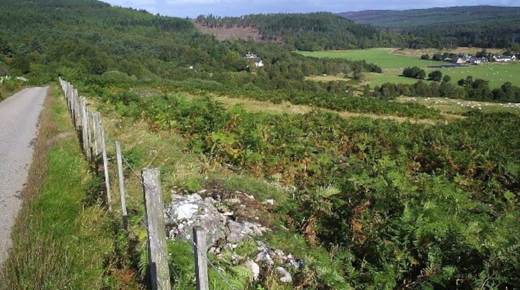 Country Road. Taken up near Hillton.
