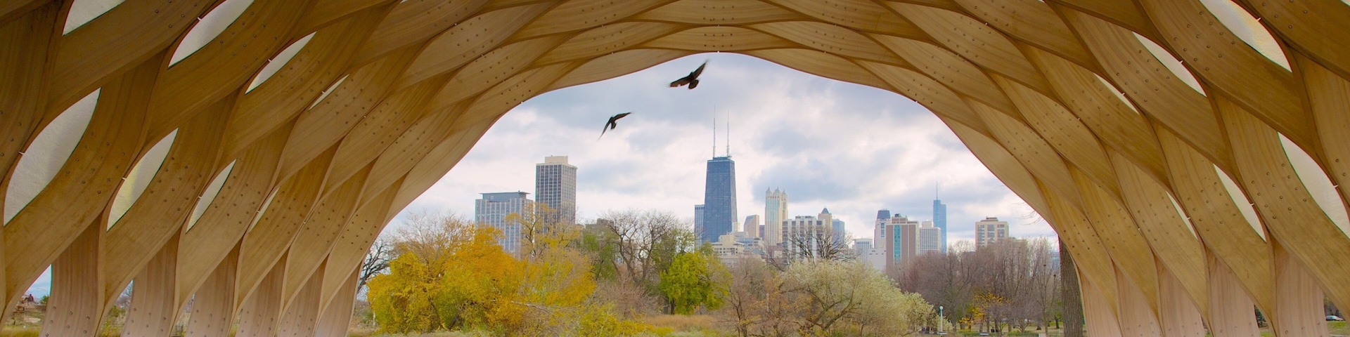 Chicago which includes modern architecture and a city