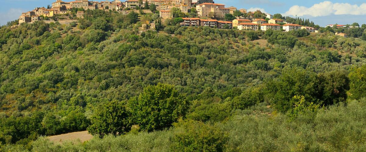 A hillside town with buildings atop a lush green hill.