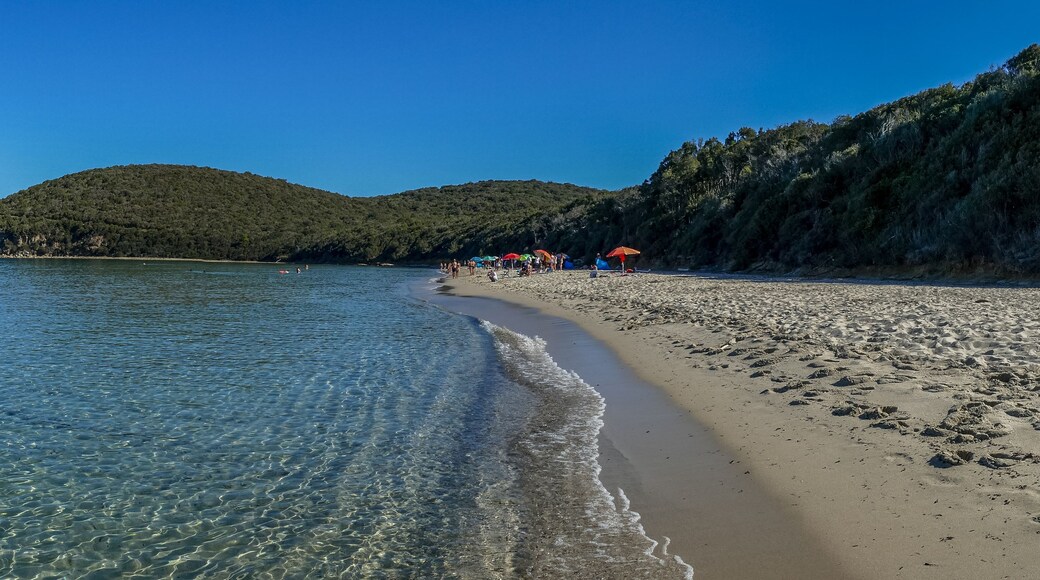 A clear beach with gentle waves, a sandy shore, and a forested hill in the background.