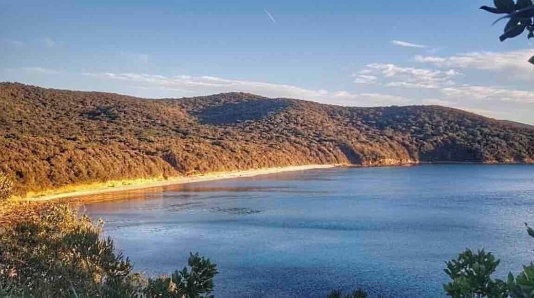 Cala Violina (Tuscany - Italy) #italy #calaviolina #amazingplace #pictures #tuscany #sea #winter #naturalreserve
