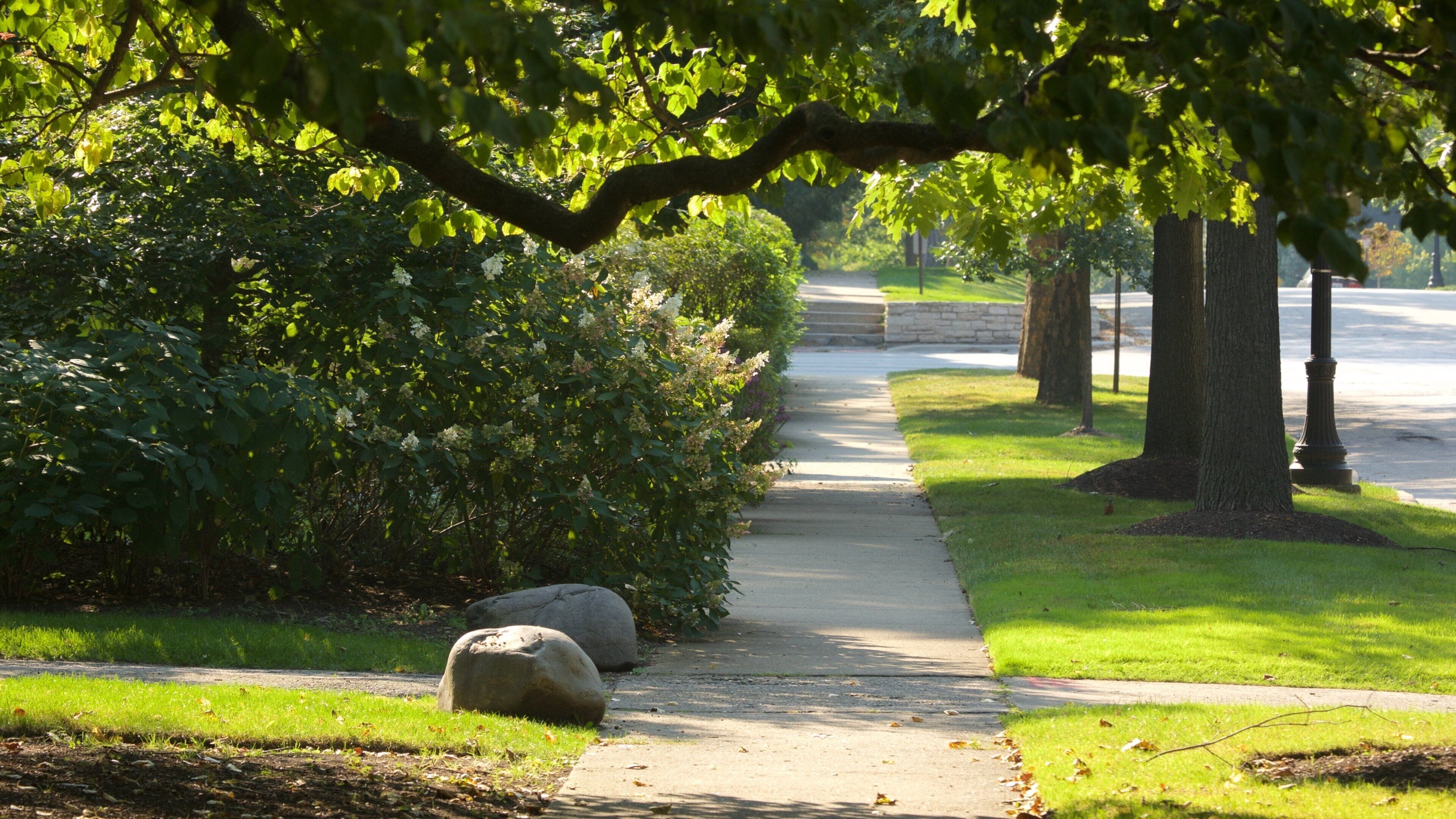 North Suburbs showing street scenes
