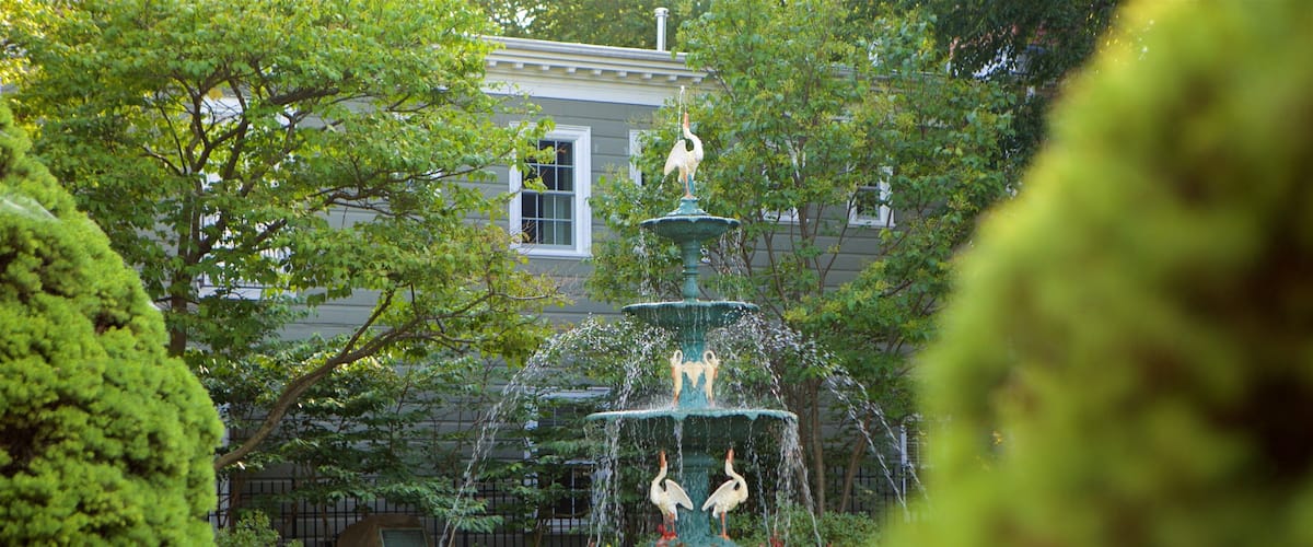 A tiered fountain with two swans, surrounded by lush greenery and a building in the background.