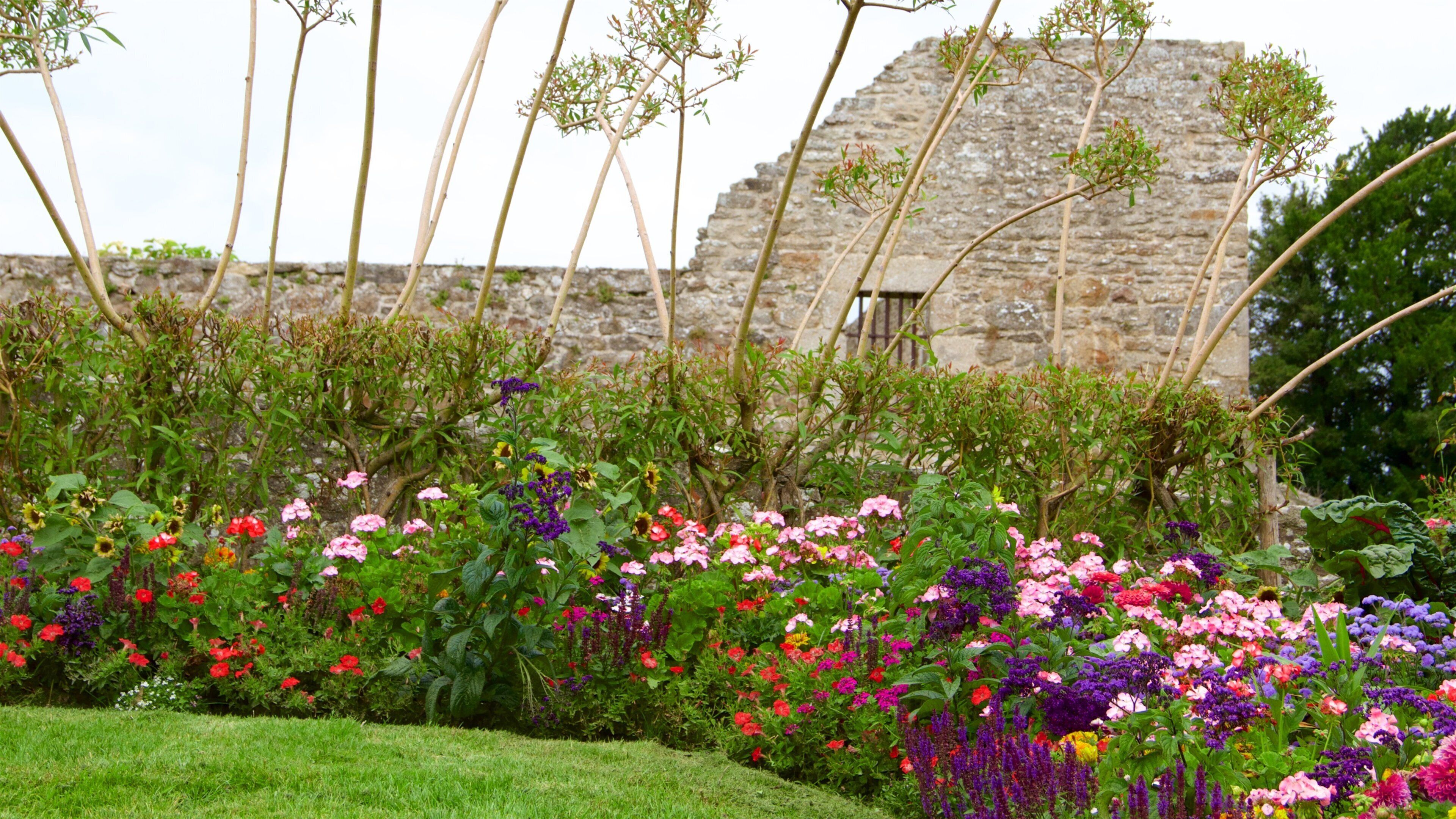 A garden with colorful flowers and a stone wall in the background.