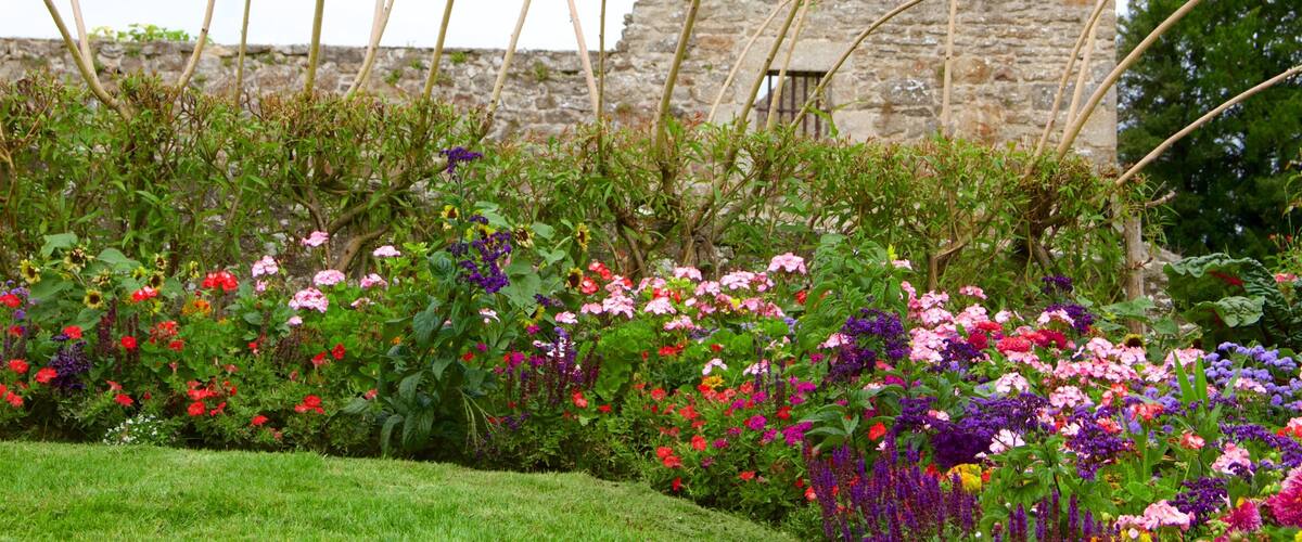 A garden with colorful flowers and a stone wall in the background.
