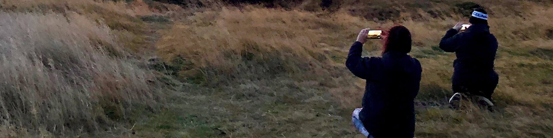 Amazing Icelandic sunset