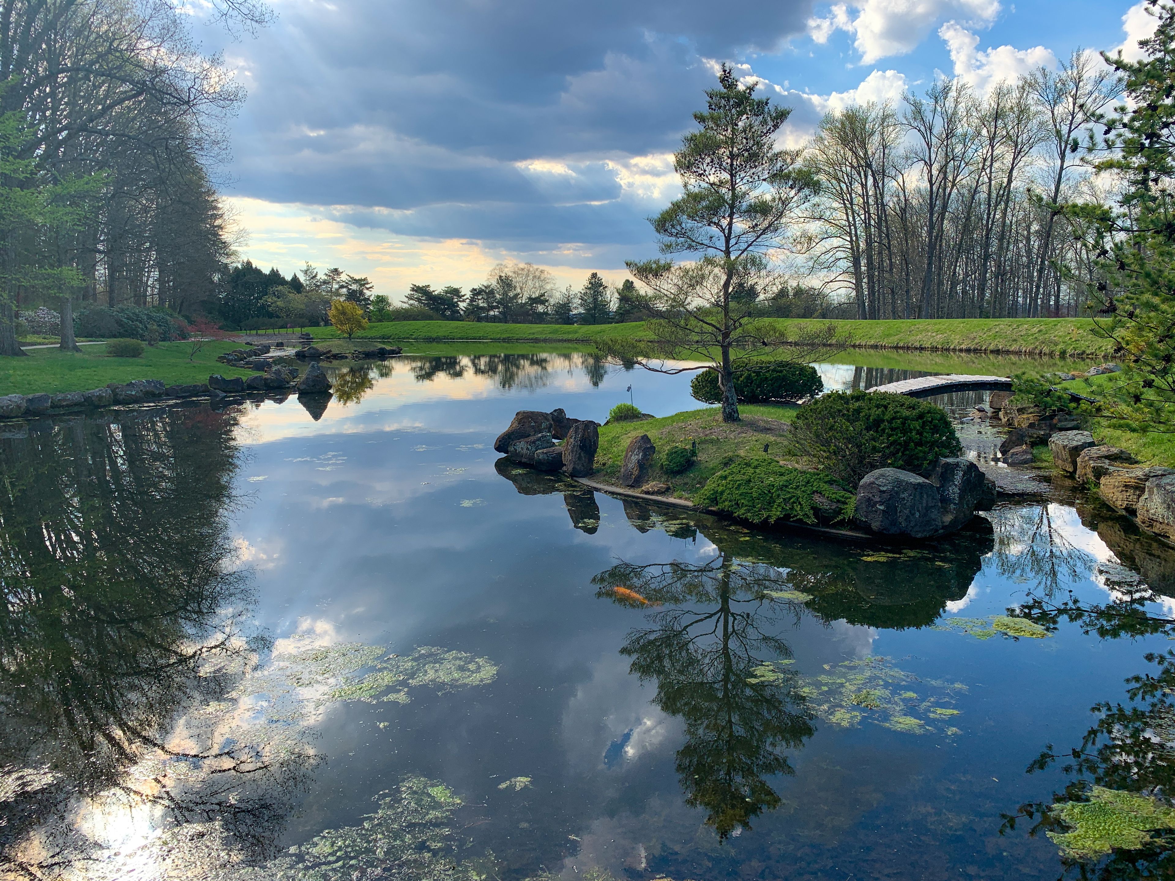 Dawes Arboretum Japanese Garden with Koi pond and water reflections on a sunny day