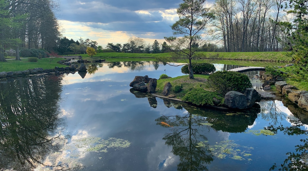 Dawes Arboretum Japanese Garden with Koi pond and water reflections on a sunny day