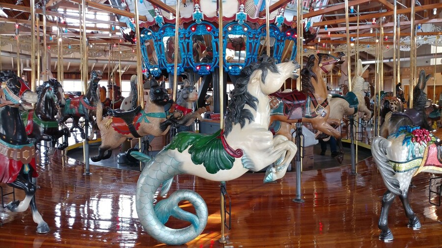 The Richland Carrousel is the first new, hand-carved carrousel to be built and operated in the United States since the 1930âs.
All 52 figures were designed, carved and painted by Carousel Works of Mansfield. There are 30 horses and 22 menagerie figures, including four bears, four ostriches, four cats, four rabbits, a goat, giraffe, lion, tiger, zebra and a mythical hippocampus