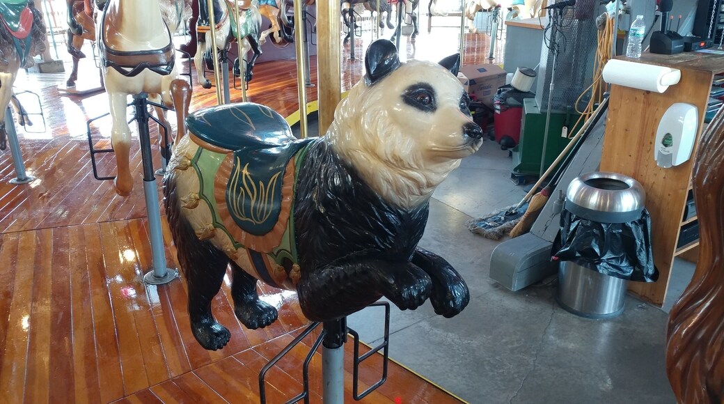 The Richland Carrousel is the first new, hand-carved carrousel to be built and operated in the United States since the 1930’s.
All 52 figures were designed, carved and painted by Carousel Works of Mansfield. There are 30 horses and 22 menagerie figures, including four bears, four ostriches, four cats, four rabbits, a goat, giraffe, lion, tiger, zebra and a mythical hippocampus (part horse, part fish).