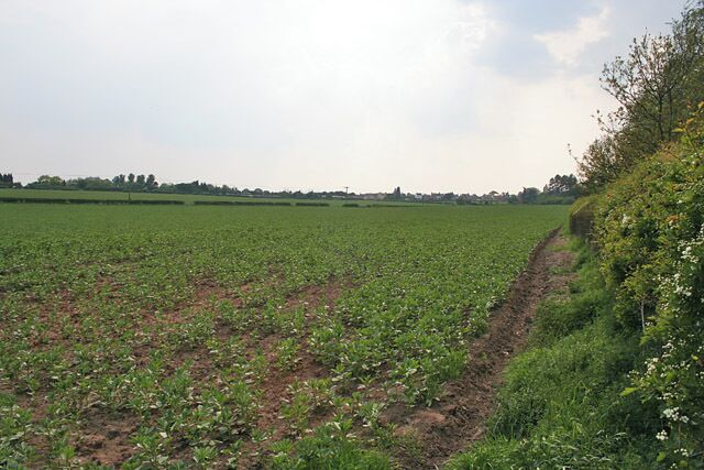 Farmland by Leicester Lane. Looking towards Enderby across the fields.