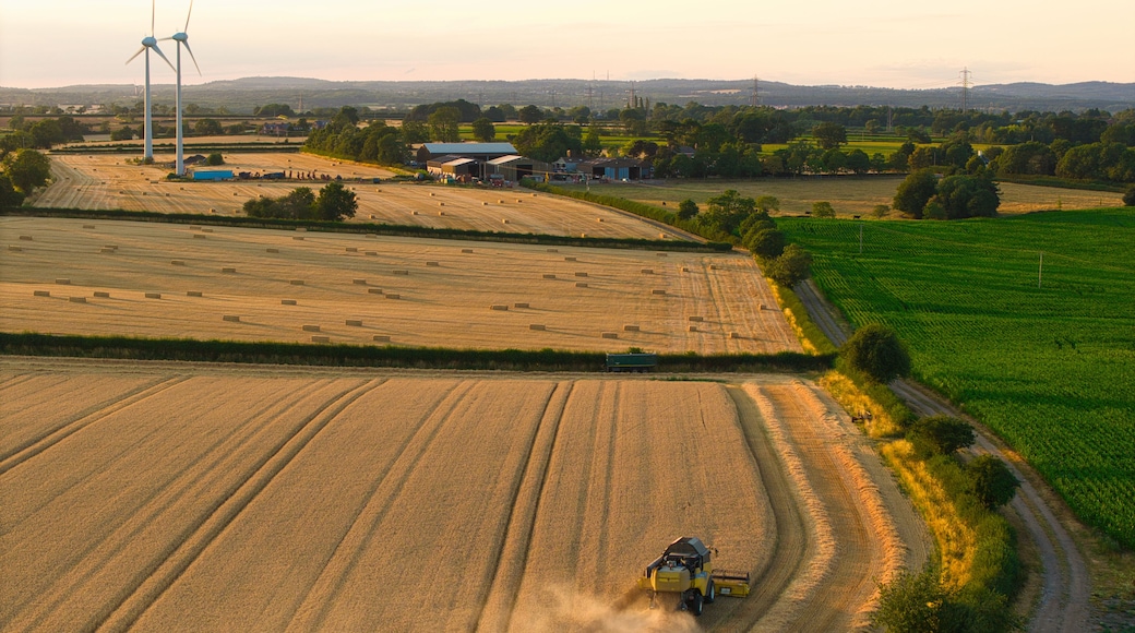 A combine harvester working in a field, with wind turbines and a rural landscape in the background.