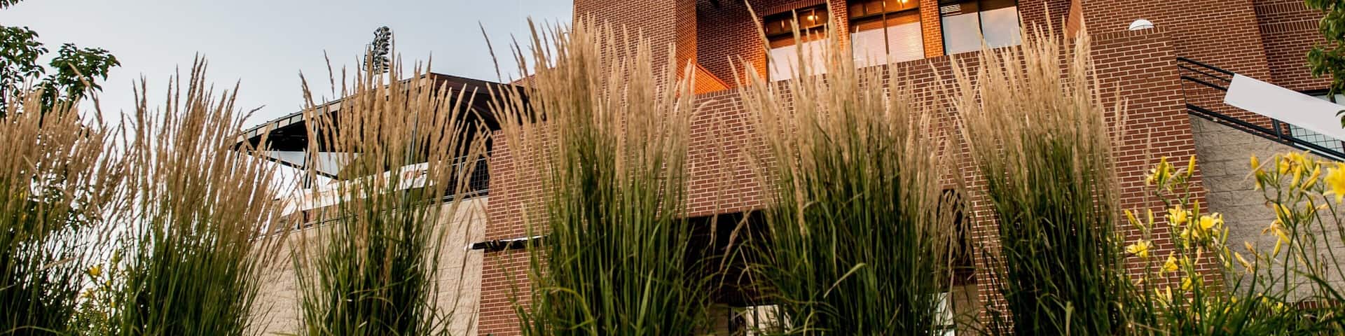 ファーゴ 表示 標識