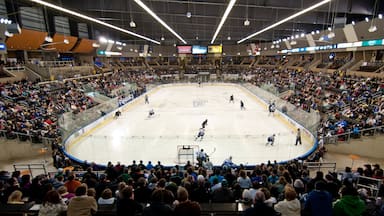Fargo mostrando un evento deportivo y vistas interiores y también un gran grupo de personas