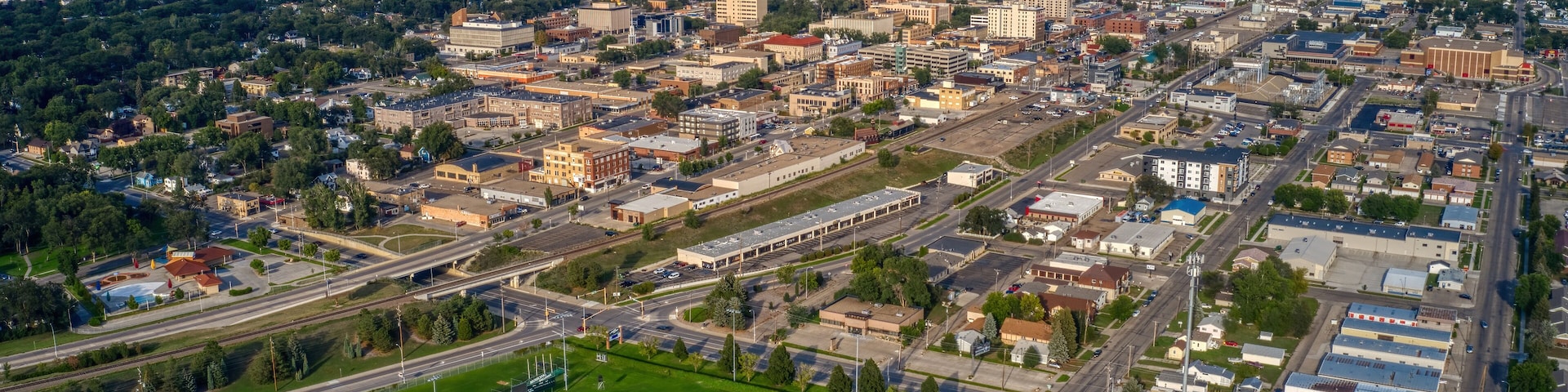 An aerial view of a city with a large green park, a baseball field, and dense urban buildings.