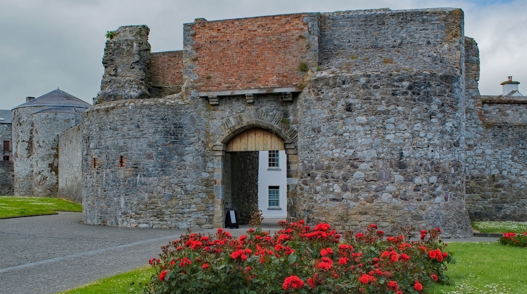 Dungarvan Castle Exterior with Flowers