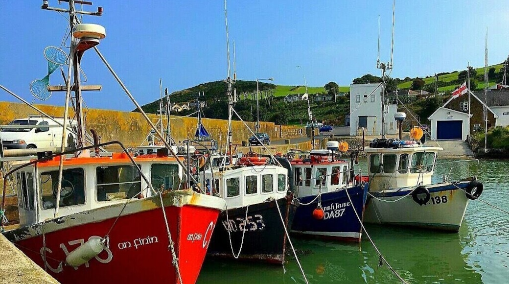 Fishing boats in Southern Ireland.