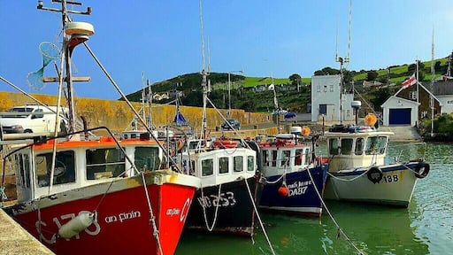 Fishing boats in Southern Ireland.
