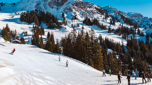 Alpine winter view with ski drivers at Mount Fuessener Joechle, Graen, Reutte, Tyrol, Austria
