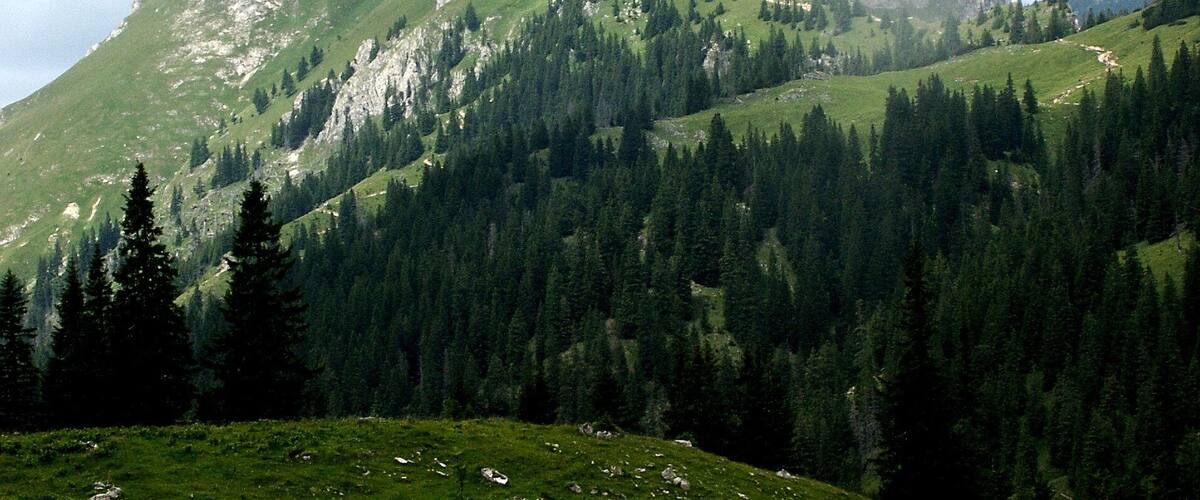 Aggenstein, a mountain on the austrian/german border, seen from the south