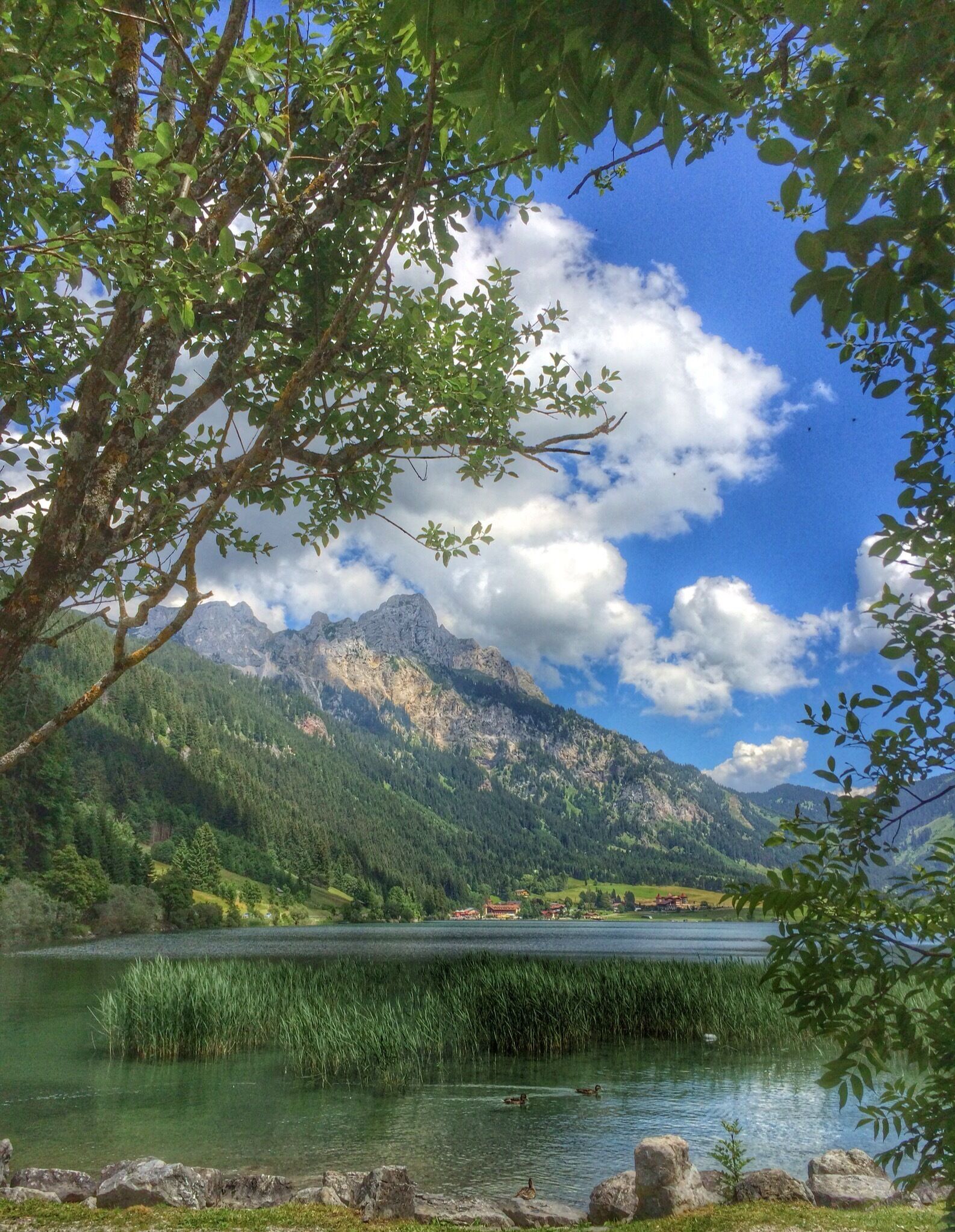 A mountain landscape with a lake and a forested area.