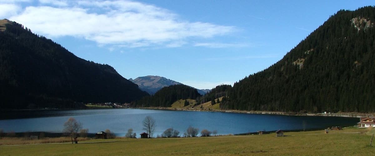 A lake surrounded by forested mountains and a grassy field.