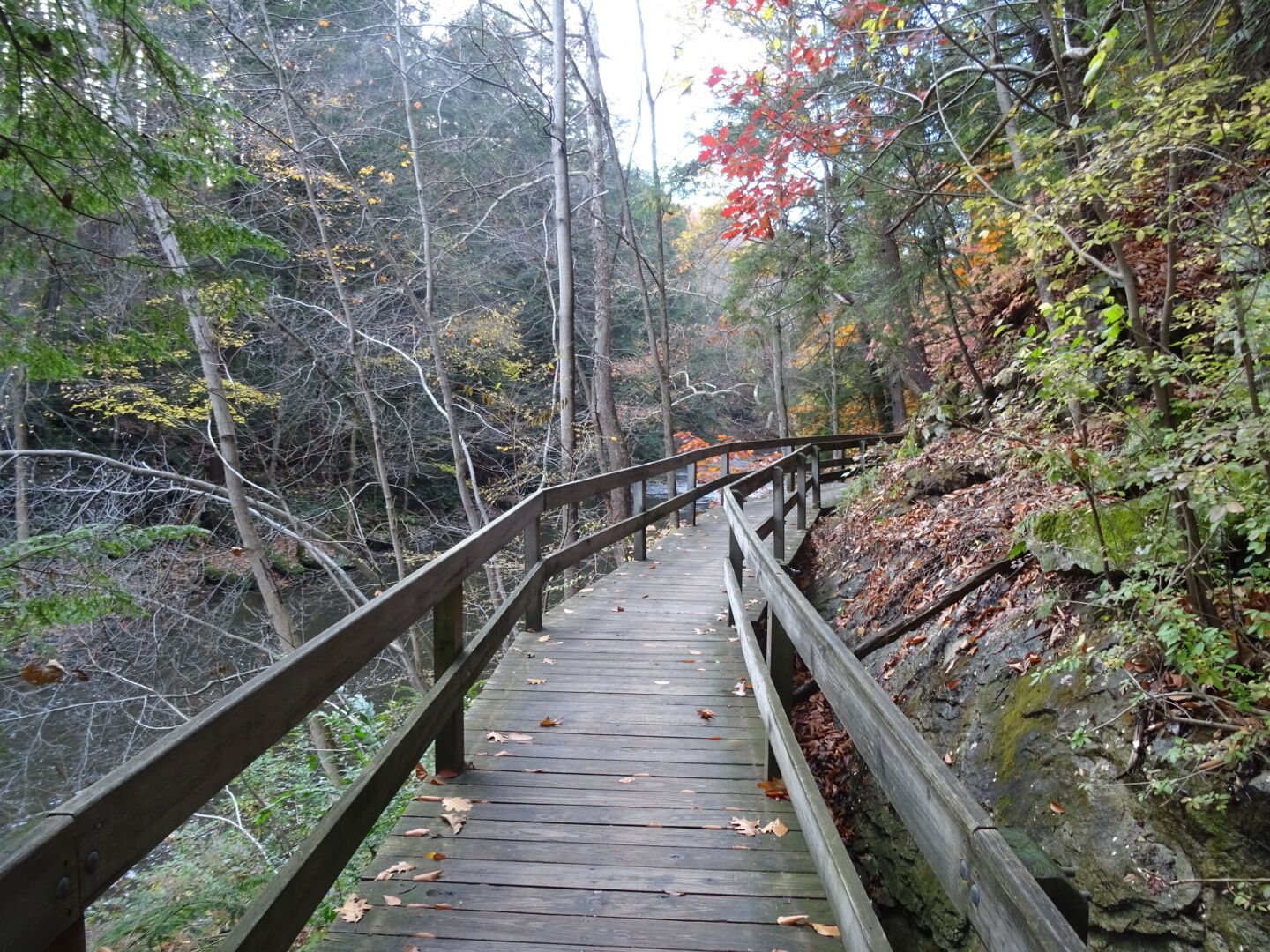 A look down part of the boardwalk.
The Gorge Trail is a breathtakingly beautiful two-mile loop along Mill Creek. The trail consists of a boardwalk and is bordered on one side by the stream and on the other side by a massive wall of sandstone.