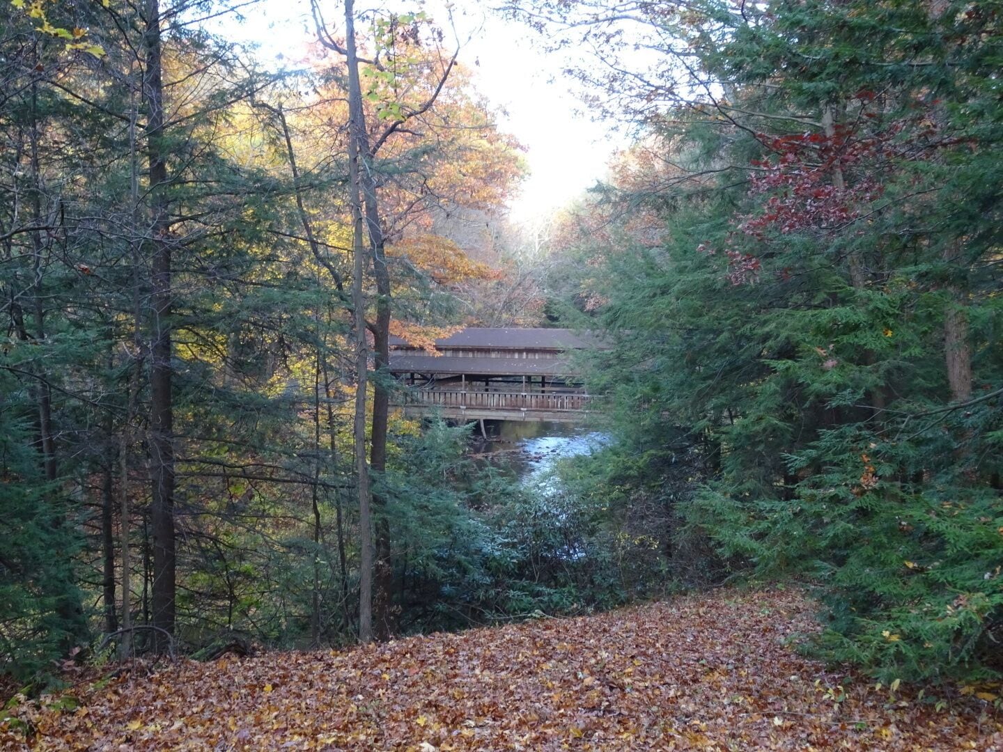Designed after a bridge used by farmers to bring their grain to the mill in the 1800s, the Covered Bridge is one of the scenic highlights of Mill Creek Park. Construction of the Covered Bridge was completed in 1989.
