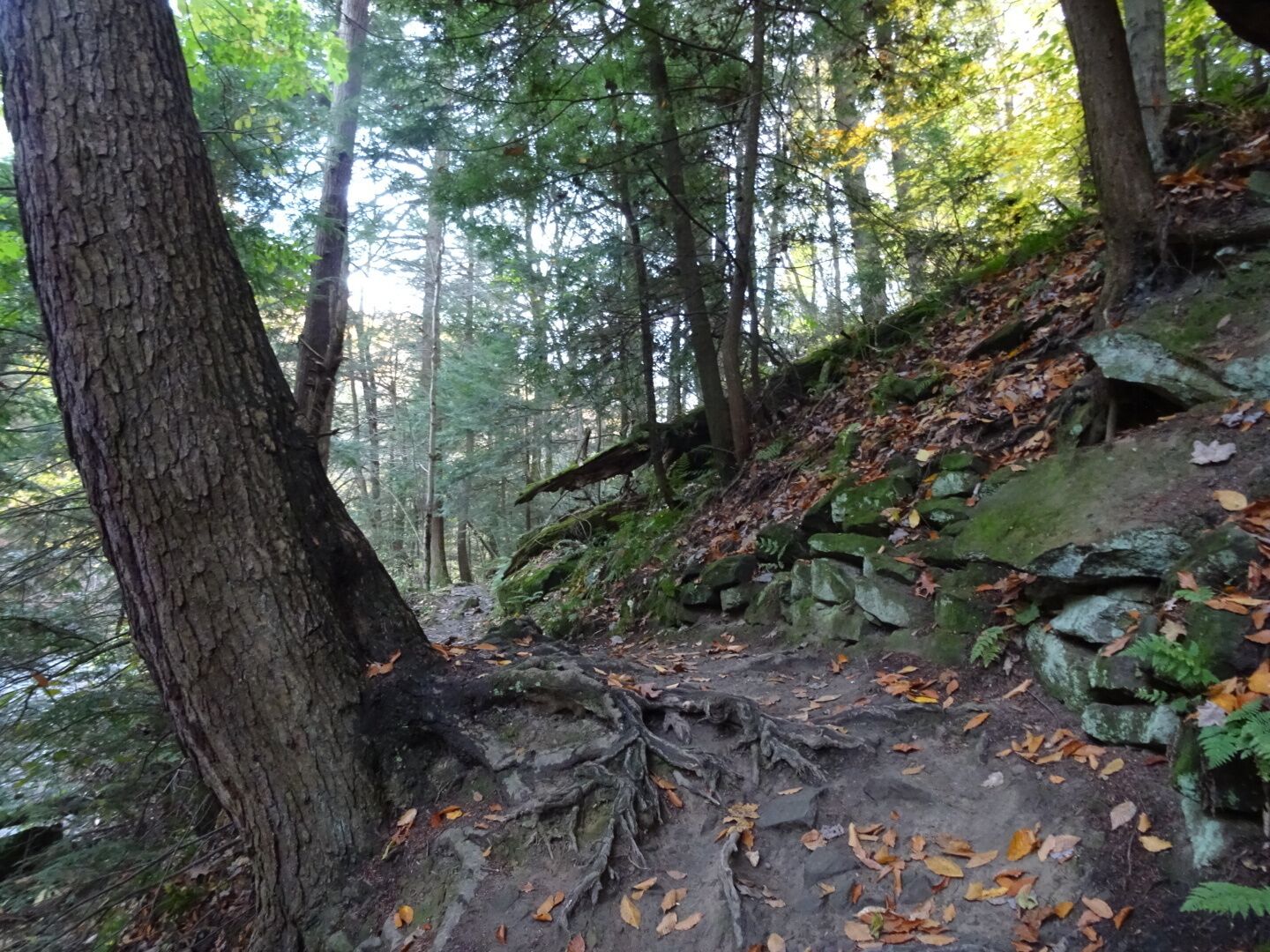 The Gorge Trail is a breathtakingly beautiful two-mile loop along Mill Creek. The trail consists of a boardwalk and is bordered on one side by the stream and on the other side by a massive wall of sandstone.
