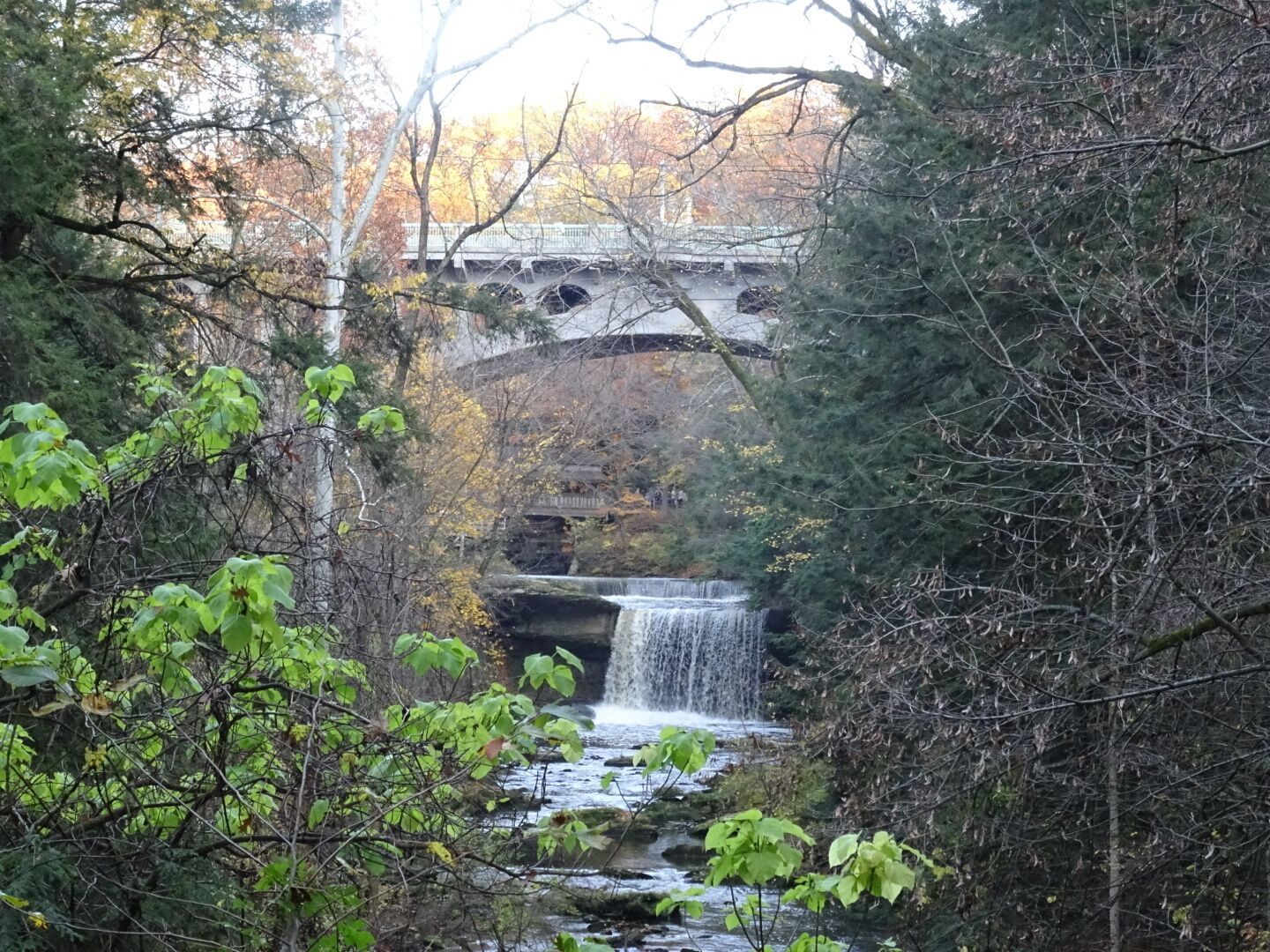 A view looking up creek at the falls and covered bridge from the gorge trail at Mill Creek Park.

The Gorge Trail is a breathtakingly beautiful two-mile loop along Mill Creek. The trail consists of a boardwalk and is bordered on one side by the stream and on the other side by a massive wall of sandstone.