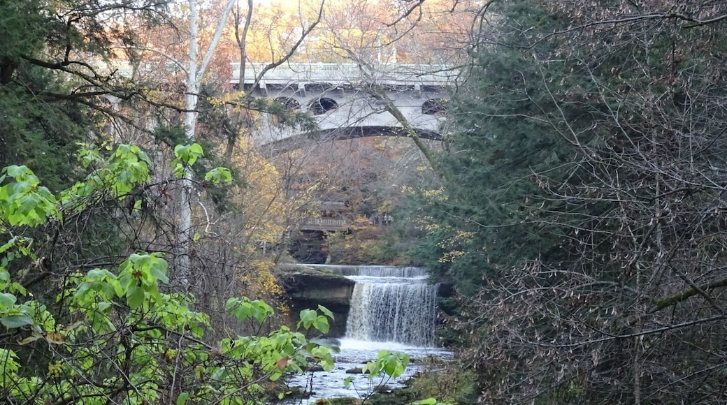 A view looking up creek at the falls and covered bridge from the gorge trail at Mill Creek Park.
The Gorge Trail is a breathtakingly beautiful two-mile loop along Mill Creek. The trail consists of a boardwalk and is bordered on one side by the stream and on the other side by a massive wall of sandstone.