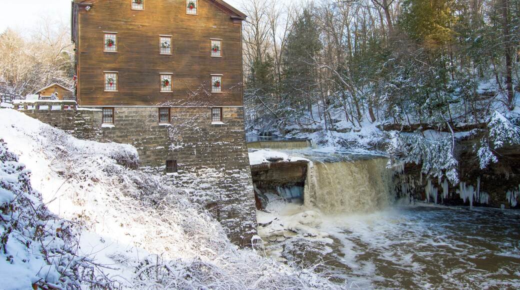 Youngstown